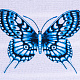    Arya 90X160 Butterfly