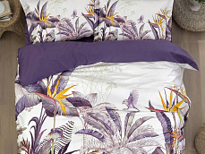   Palm Garden purple